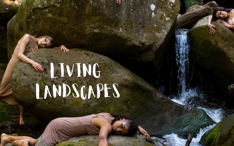 Living Landscapes Flyer with rocks and people laying on them